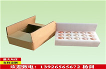 珍珠棉（EPE）包装